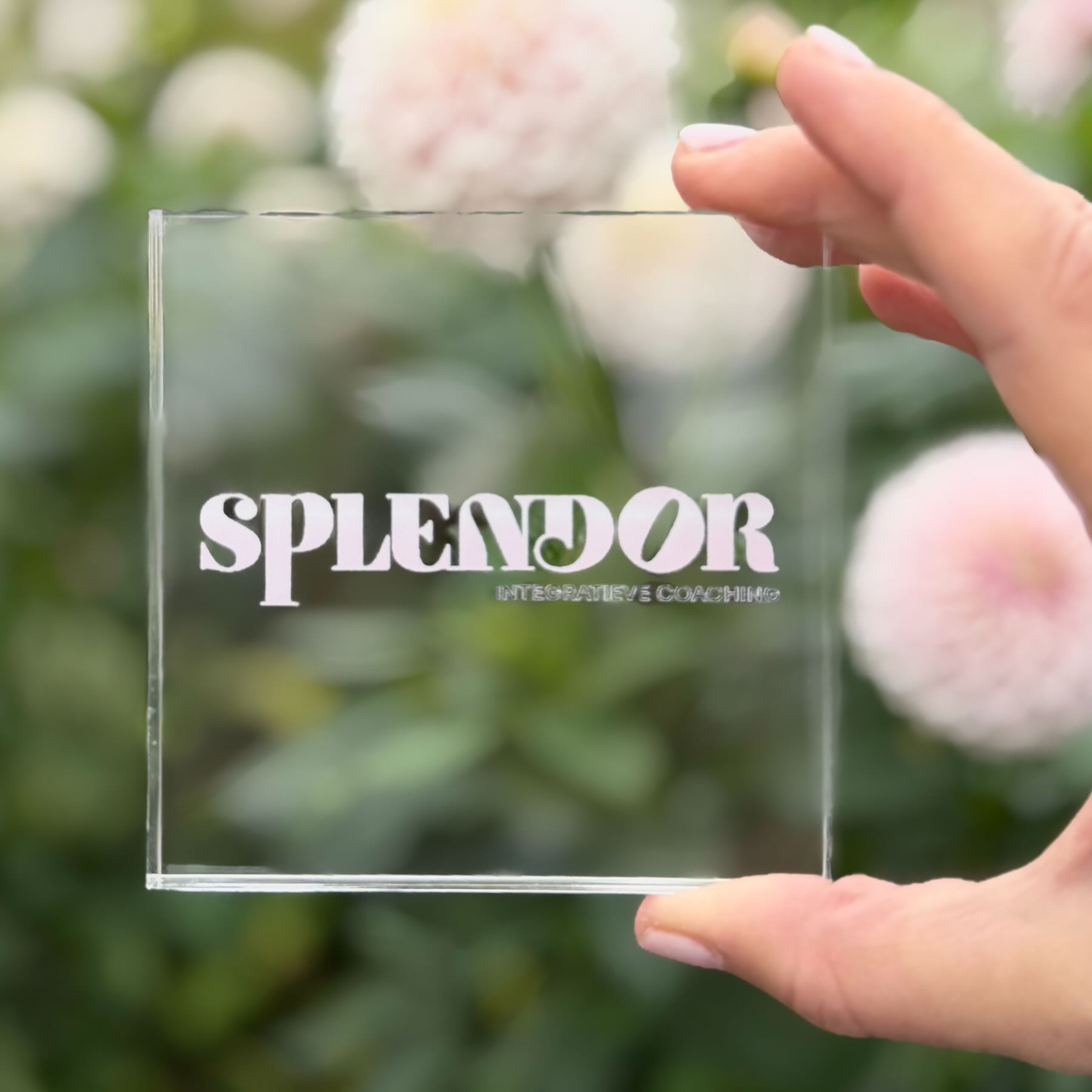 Splendor logo in glas